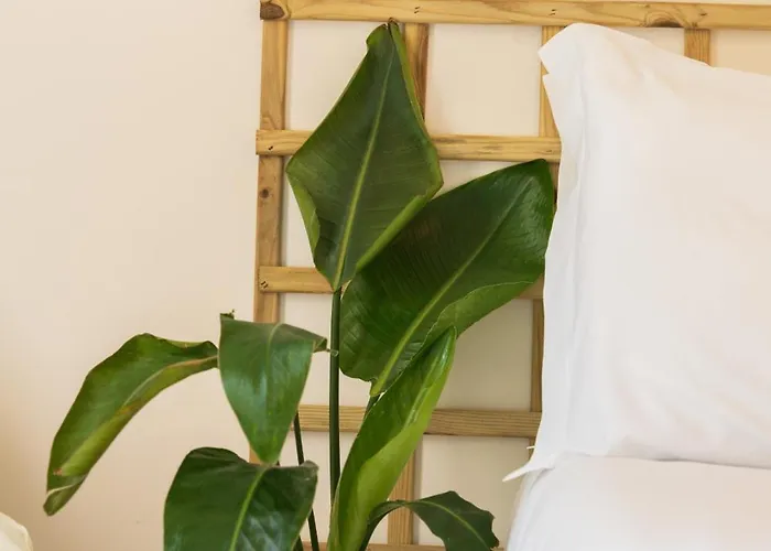 Jardim Do Morro By Porto Stories Apartament *